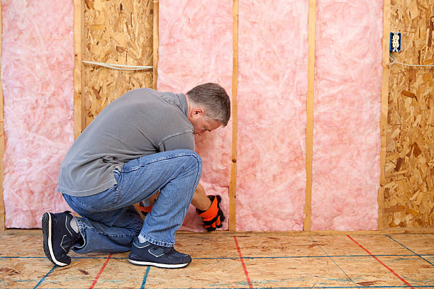 Best Specialized Insulation Services in Hillsville, VA